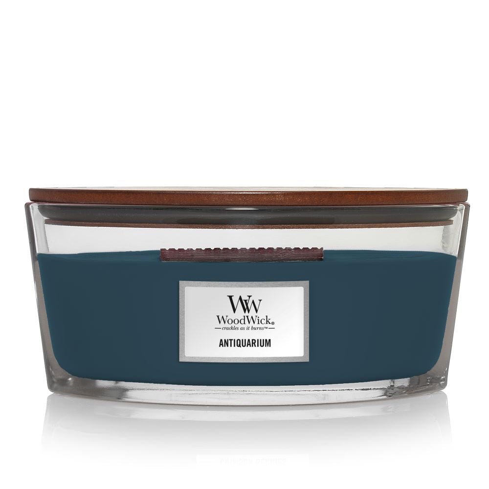 "Antiquarium" Scented candle