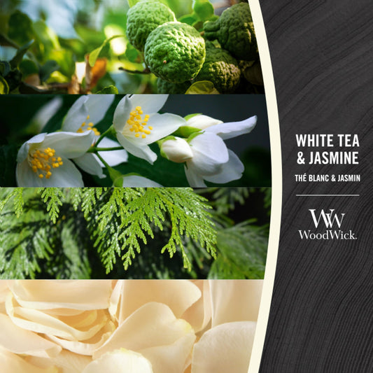 "White Tea & Jasmine" Scented candle
